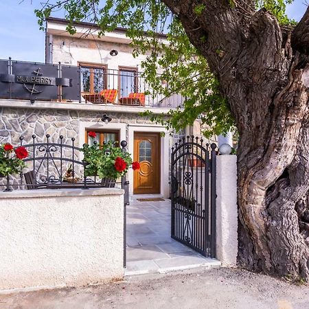 Villa Mulberry Milohnici Εξωτερικό φωτογραφία
